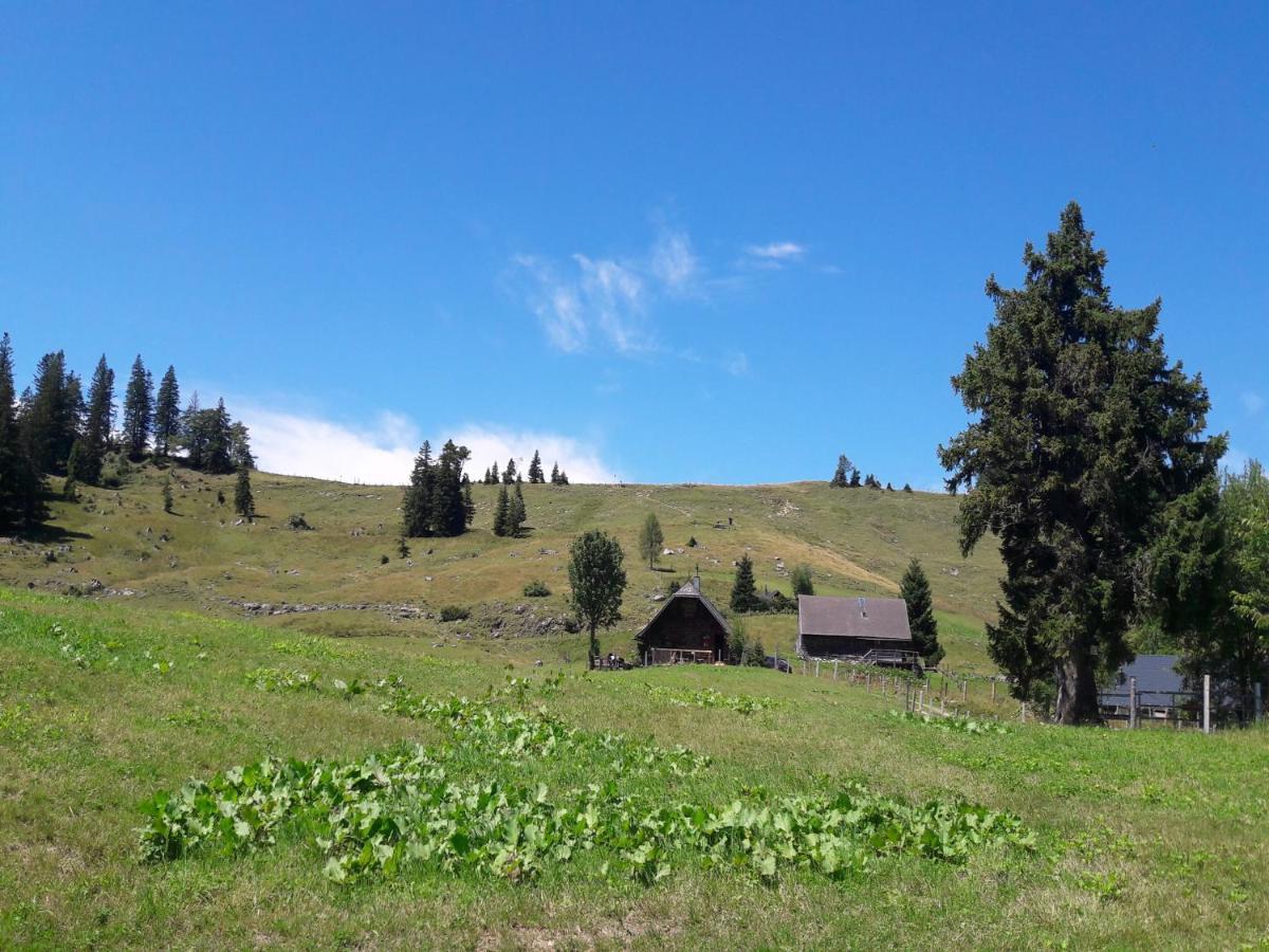 Apartment Am Wolfgangsee Щробл Екстериор снимка