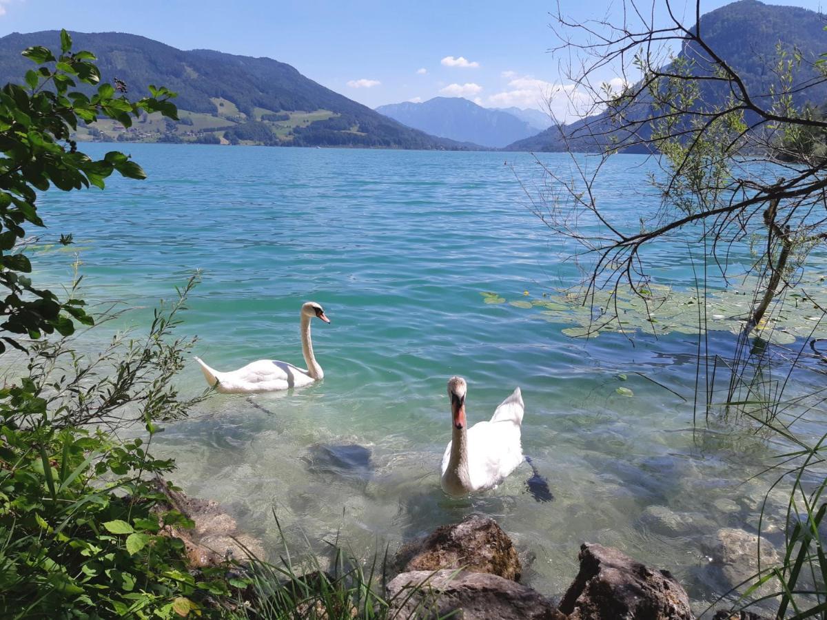 Apartment Am Wolfgangsee Щробл Екстериор снимка