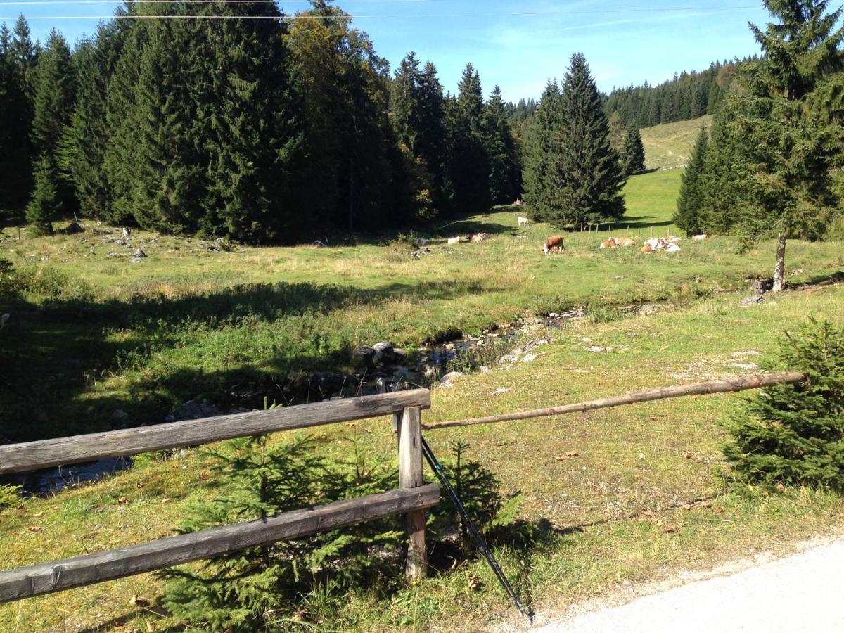 Apartment Am Wolfgangsee Щробл Екстериор снимка